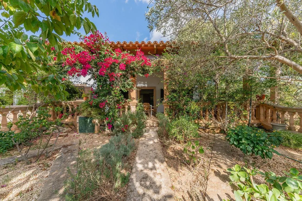 Finca Can Lluc アラロ スペイン